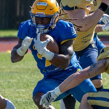 AFL Graz Giants vs Fehérvár Enthroners (31 : 8)