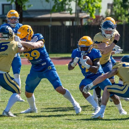 AFL Graz Giants vs Fehérvár Enthroners (31 : 8)