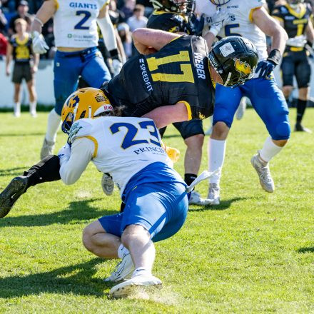 AFL Graz Giants vs Vienna Knights (18 : 20)