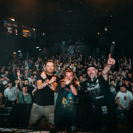 COLLAPSE XL