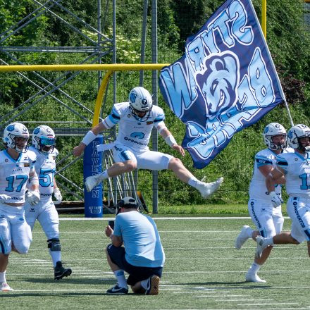 AFL Div. I Proventor Styrian Bears vs Vienna Vikings II (29:7)