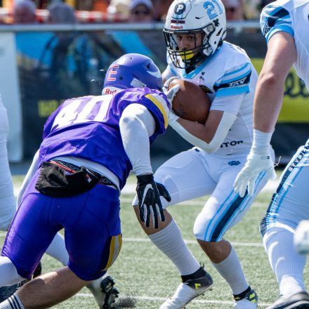 AFL Div. I Proventor Styrian Bears vs Vienna Vikings II (29:7)
