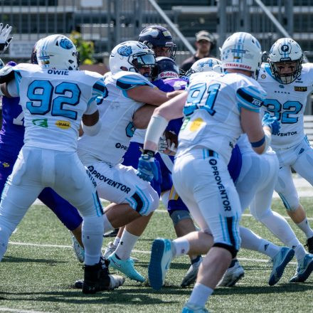 AFL Div. I Proventor Styrian Bears vs Vienna Vikings II (29:7)