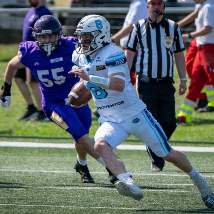 AFL Div. I Proventor Styrian Bears vs Vienna Vikings II (29:7)