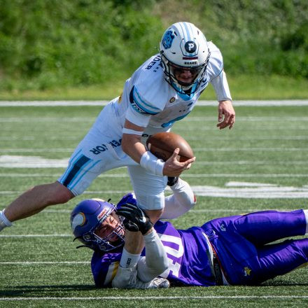 AFL Div. I Proventor Styrian Bears vs Vienna Vikings II (29:7)