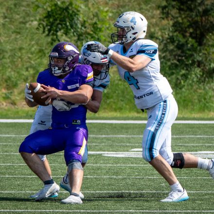 AFL Div. I Proventor Styrian Bears vs Vienna Vikings II (29:7)