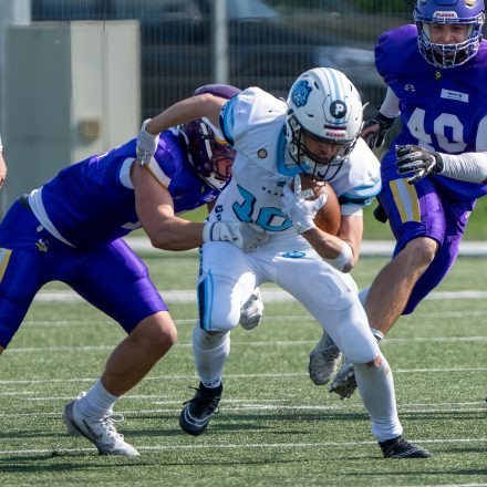 AFL Div. I Proventor Styrian Bears vs Vienna Vikings II (29:7)