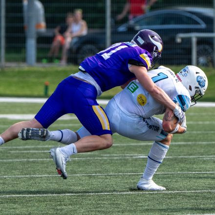 AFL Div. I Proventor Styrian Bears vs Vienna Vikings II (29:7)