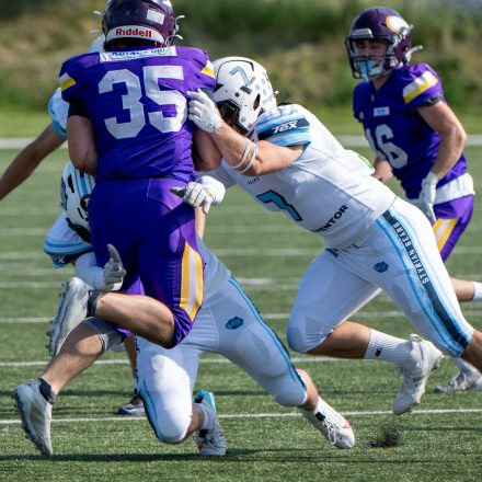 AFL Div. I Proventor Styrian Bears vs Vienna Vikings II (29:7)
