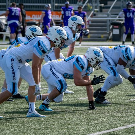AFL Div. I Proventor Styrian Bears vs Vienna Vikings II (29:7)