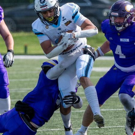AFL Div. I Proventor Styrian Bears vs Vienna Vikings II (29:7)