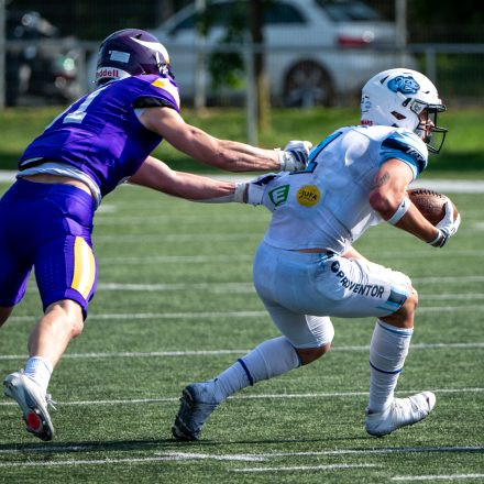 AFL Div. I Proventor Styrian Bears vs Vienna Vikings II (29:7)