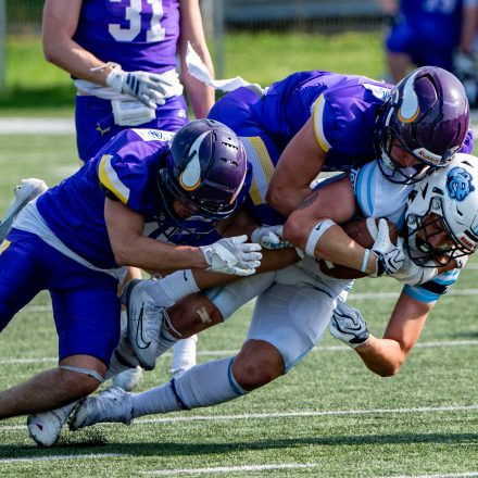 AFL Div. I Proventor Styrian Bears vs Vienna Vikings II (29:7)