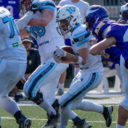 AFL Div. I Proventor Styrian Bears vs Vienna Vikings II (29:7)
