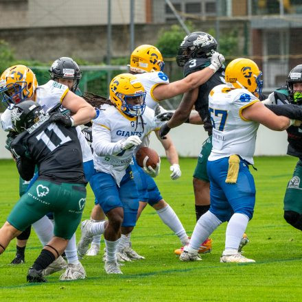 AFL Graz Giants vs Danube Dragons (28:14)