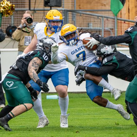 AFL Graz Giants vs Danube Dragons (28:14)