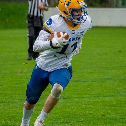 AFL Graz Giants vs Danube Dragons (28:14)