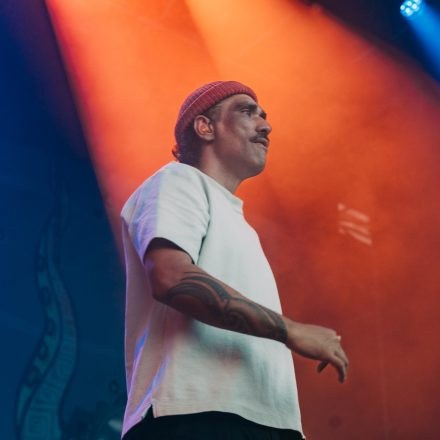 Fat Freddy's Drop