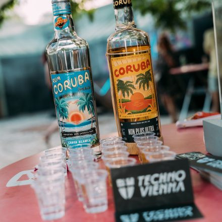 TECHNO AM WASSER x FLASHBACK