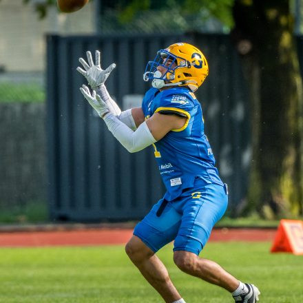 AFL Graz Giants vs Danube Dragons (7:15)