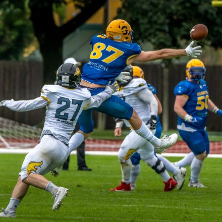 AFL Graz Giants vs Vienna Knights (58:15)