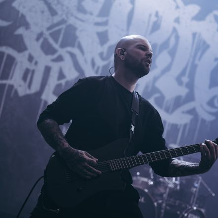 Core & More Festival