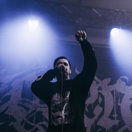 Core & More Festival