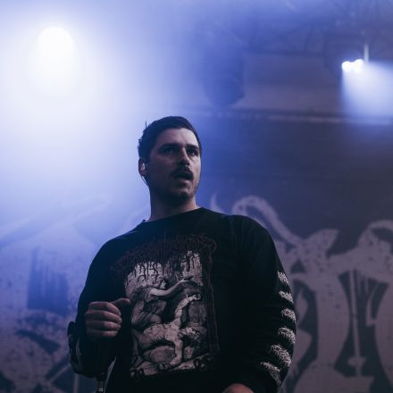 Core & More Festival