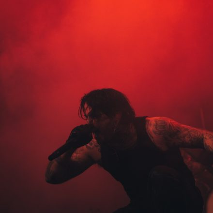 Core & More Festival