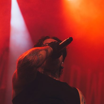 Core & More Festival