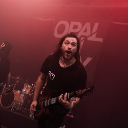 Core & More Festival