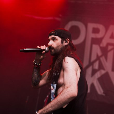 Core & More Festival