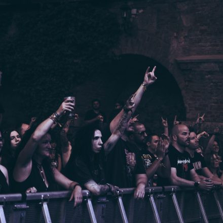 Core & More Festival