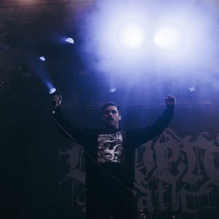Core & More Festival