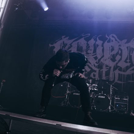 Core & More Festival