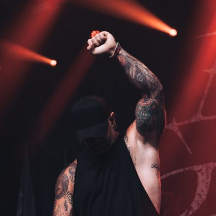 Core & More Festival