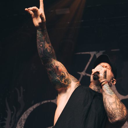 Core & More Festival