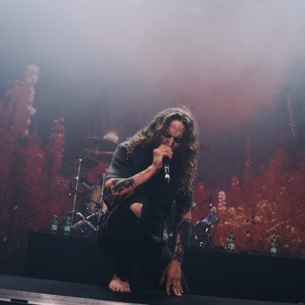 Core & More Festival