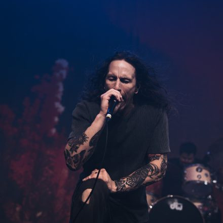 Core & More Festival