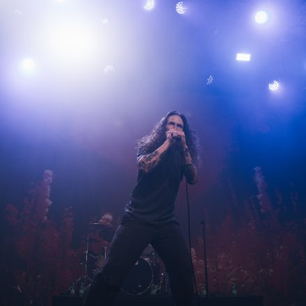 Core & More Festival