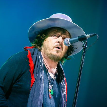 Zucchero