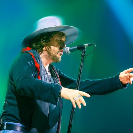 Zucchero