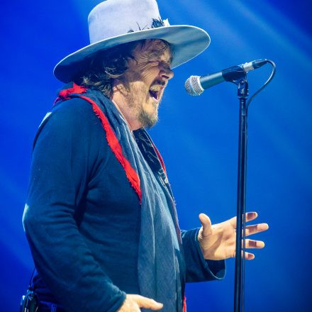 Zucchero