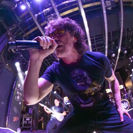 Don Broco