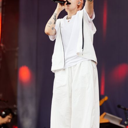 Donauinselfest 2026 - Sonntag
