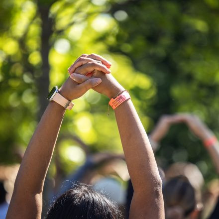 YOGA JUNKIES FESTIVAL 2026 - Samstag
