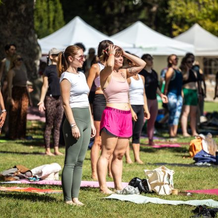 YOGA JUNKIES FESTIVAL 2026 - Samstag