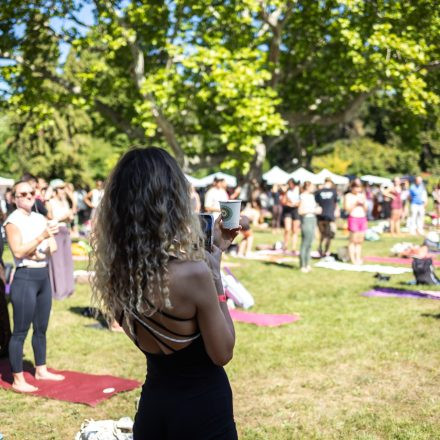 YOGA JUNKIES FESTIVAL 2026 - Samstag