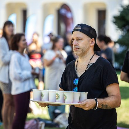 YOGA JUNKIES FESTIVAL 2026 - Samstag