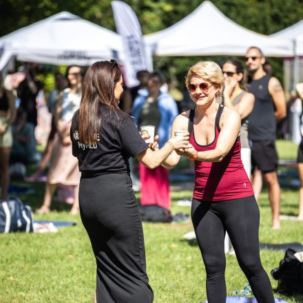 YOGA JUNKIES FESTIVAL 2026 - Samstag